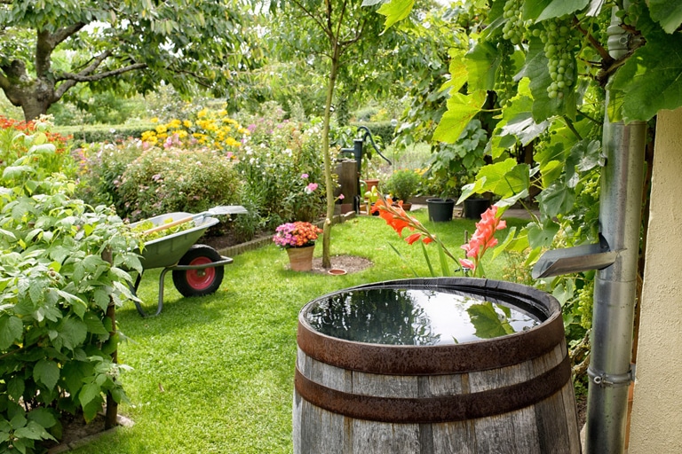 Jardin verdoyant et florissant de la Demeure de la Baronne